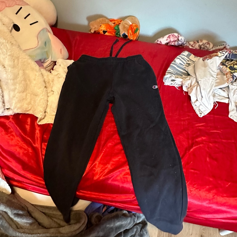 Champion sweatpants